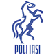 波图森尼logo