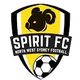 黑镇市足球俱乐部logo