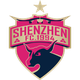 深圳队logo