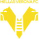 弗洛西诺内logo