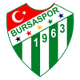 布尔萨体育2队logo