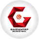 福诺体育logo