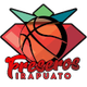 弗雷塞罗斯logo