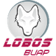 普埃布拉狼logo