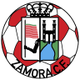 萨莫拉logo