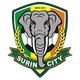 苏林logo