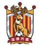 淄博齐盛logo