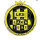 LKS拉卡logo