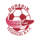 度尼丁特彻尼卡尔女足logo