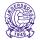 积格斯堡logo