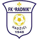 拉德尼克logo