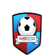 维卡多女足logo