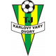 TJ卡罗维logo