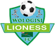 沃洛吉logo