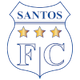 桑托斯德纳斯卡logo