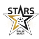 棕榈滩之星logo