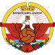 FC阿尔扎赫logo