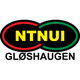 尼堤努logo