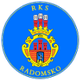 RKS雷多美高logo