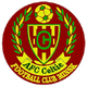 AFC凯尔特人明斯克logo