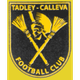 泰德雷卡勒瓦logo