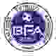 维尔提斯BFA B队logo