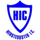 赫尔斯多特女足logo