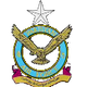 巴基斯坦空军logo